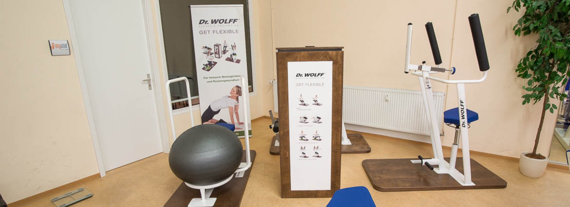 Fitness nach Dr. WOLFF - für bessere Beweglichkeit und Rückengesundheit